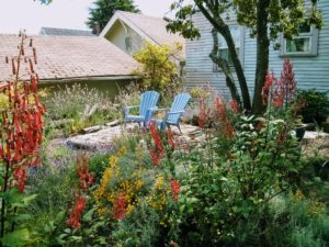 Backyard garden with blue Adirondack chairs