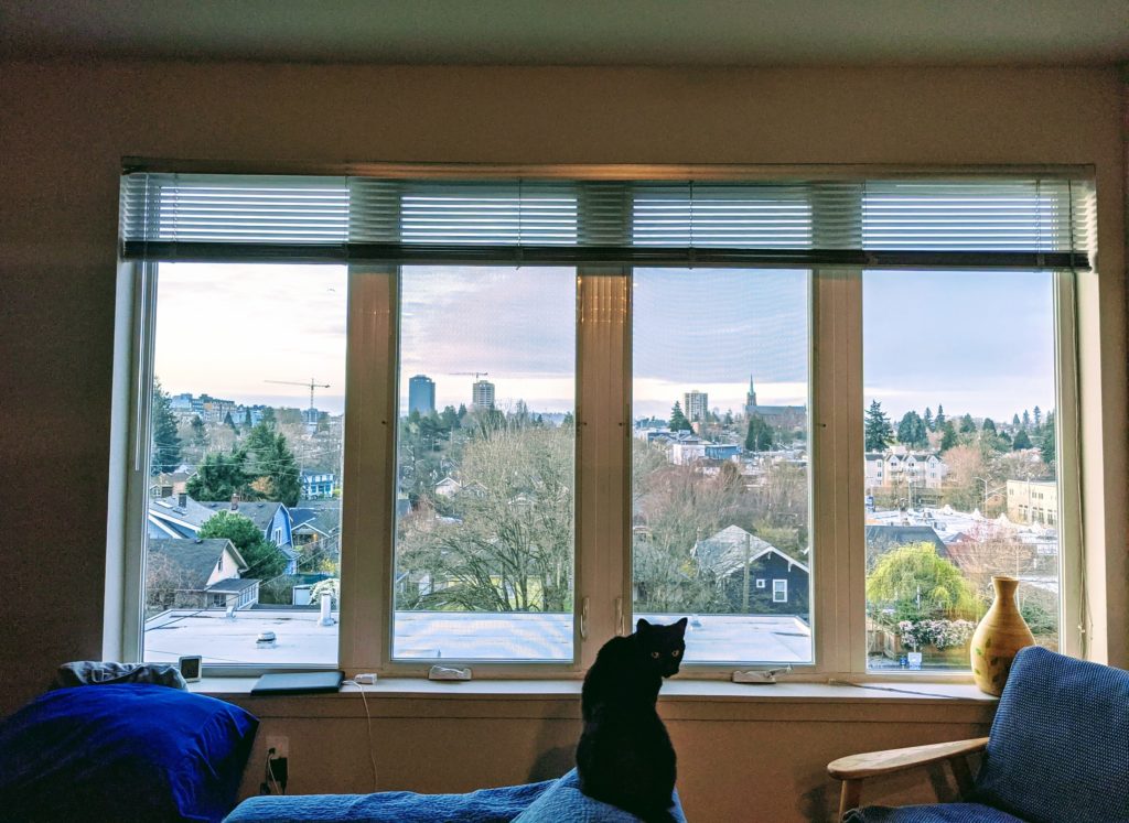 Window with view of neighborhood and cat perched on couch