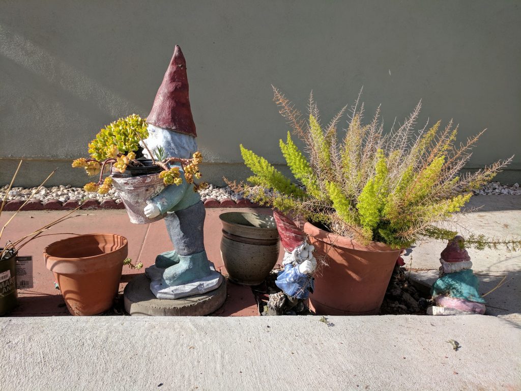 Potted plants with garden gnomes