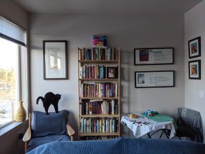 Living room with bookshelf and cat on chair