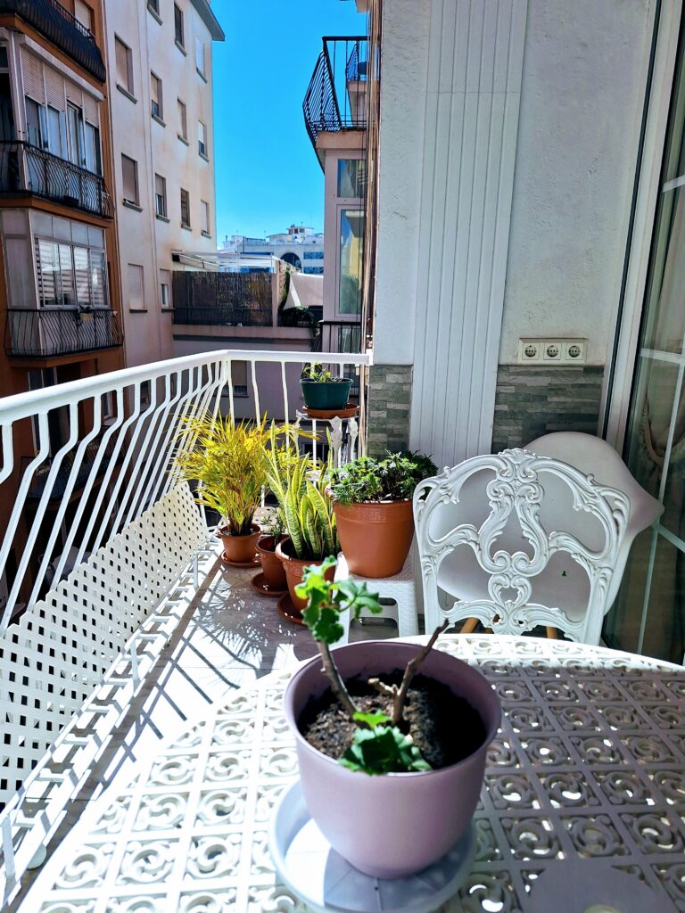 Small terrace with a French bistro table and chair, a geranium plant on the table and various other potted plants in the background. 