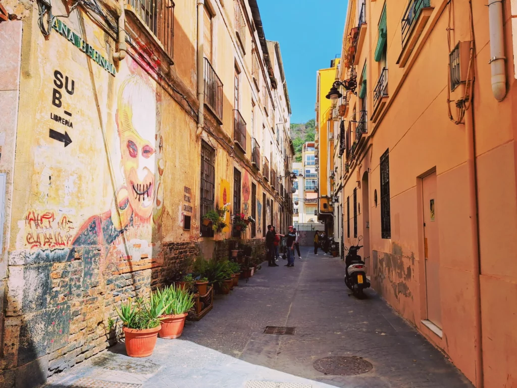 A narrow street in Malaga, Spain with graffiti and potted plants lining one side. The buildings are clay colored. The street is cast in shadow.