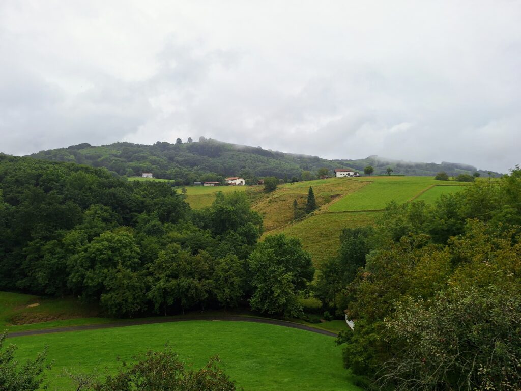 View of meadow, trees and mountain in various shades of green on a gray, cloudy day